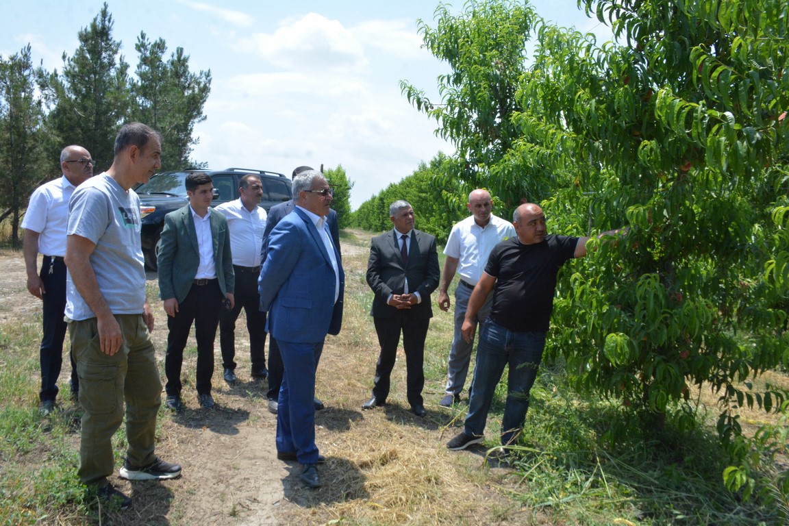 DSC_7599 (Копировать).JPG