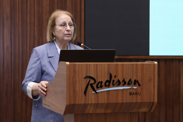 Ailə, Qadın və Uşaq Problemləri üzrə Dövlət Komitəsi tərəfindən “Gender məsələləri üzrə məsul şəxslərin fəaliyyətinin təkmilləşdirilməsi və effektiv koordinasiya” mövzusunda təlim keçirilib