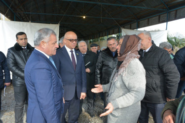 Rayon rəhbərinin Köçərli kəndində növbəti səyyar qəbul-görüşü keçirilib