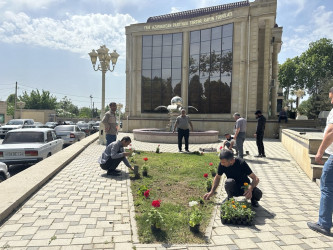 “Yaşıl dünya naminə həmrəylik ili” çərçivəsində Tərtər şəhəri ərazisində gül və çiçək kolları əkilib