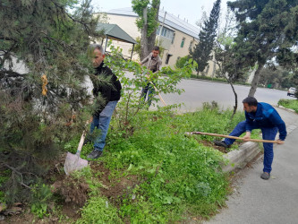Tərtər şəhəri ərazisində iməclik aksiyası keçirilib