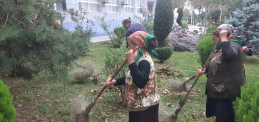 Tərtər şəhəri ərazisində növbəti iməclik aksiyası keçirilib