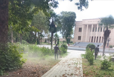 Tərtər şəhəri ərazisində növbəti iməclik aksiyası keçirilib