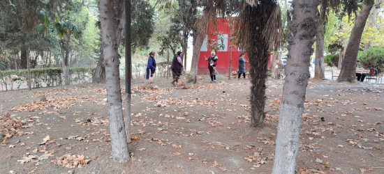 Tərtər şəhəri ərazisində iməclik aksiyası keçirilib