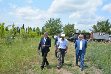 Rayon rəhbəri Ələsgərli kəndində tingçilik təsərrüfatı ilə tanış olub