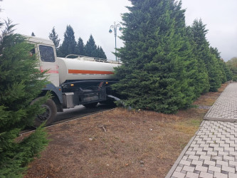 Tərtər şəhəri ərazisində növbəti iməclik aksiyası keçirilib