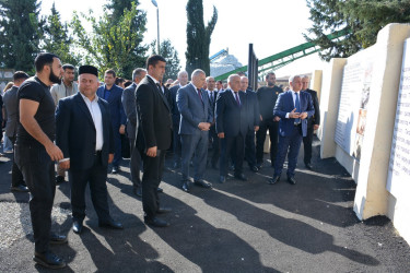 “Tərtər şəhəri II Dünya müharibəsindən sonra Avropanın ən çox bombalar və raketlərin atıldığı şəhərlərindən biridir”