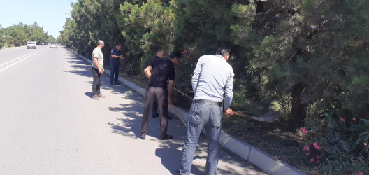 Tərtər şəhəri ərazisində iməclik aksiyası keçirilib