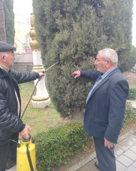 Tərtərdə yaşıllıq zonalarına aqrotexniki qulluq göstərilir, zərərvericilərə qarşı mübarizə tədbirləri aparılır