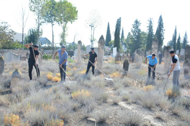 Tərtərdə “Heydər Əliyev İli” çərçivəsində növbəti iməcilik keçirilib