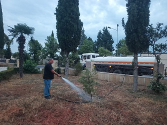Tərtər şəhəri ərazisində iməclik aksiyası keçirilib