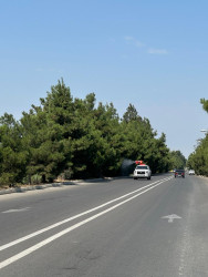 Tərtərdə dekorativ ağacların zərərvericilərə qarşı dərmanlanması işləri aparılıb