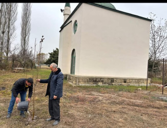 Tərtərdə Ulu Öndər Heydər Əliyevin anım günü ilə əlaqədar ağacəkmə aksiyası keçirilib
