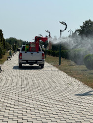 Tərtərdə dekorativ ağacların zərərvericilərə qarşı dərmanlanması işləri aparılıb