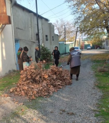 Tərtərdə "Yaşıl dünya naminə həmrəylik ili" çərçivəsində  iməclik keçirilib