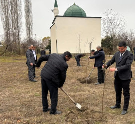 Tərtərdə Ulu Öndər Heydər Əliyevin anım günü ilə əlaqədar ağacəkmə aksiyası keçirilib
