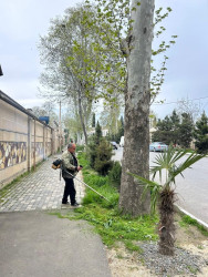 Tərtər şəhəri ərazisində iməclik aksiyası keçirilib