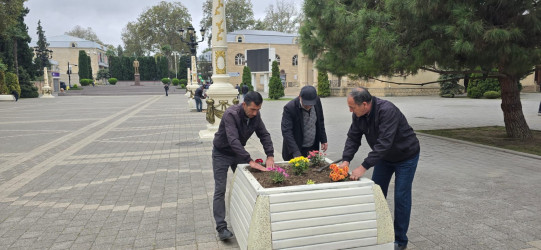 “Konstitusiya və Suverenlik İli” çərçivəsində Tərtərdə Mərkəzi meydanda abadlıq işləri aparılıb