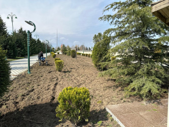 Tərtər şəhəri ərazisində iməclik aksiyası keçirilib