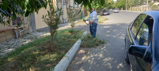 Tərtərdə “Yaşıl dünya naminə həmrəylik ili” çərçivəsində növbəti iməcilik keçirilib