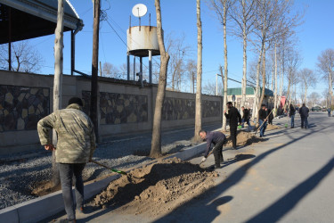 Tərtərdə “Heydər Əliyev ili” çərçivəsində ilk ağacəkmə aksiyası keçirilib