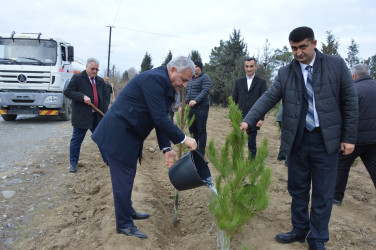 Tərtərdə “Konstitusiya və Suverenlik İli” çərçivəsində Ümummilli Lider Heydər Əliyevin anım günü ilə əlaqədar ağacəkmə aksiyası keçirilib