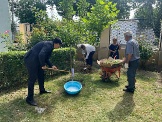 “Yaşıl gələcək naminə” adlı yaşıllaşdırma aksiyası davam etdirilib