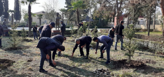 Tərtər şəhəri ərazisində növbəti iməclik aksiyası keçirilib
