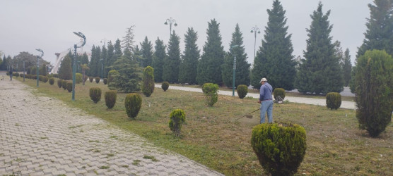 “Yaşıl dünya naminə həmrəylik ili” çərçivəsində Ana abidəsində və Bayraq meydanında  növbəti iməcilik keçirilib