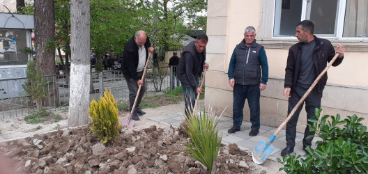 Tərtər şəhəri ərazisində iməclik aksiyası keçirilib