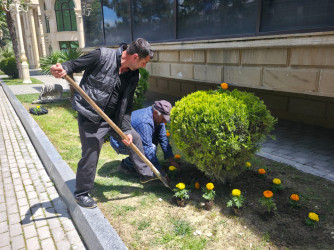 “Şəhərsalma və Memarlıq İli” çərçivəsində Tərtər şəhəri ərazisində gül və çiçək kolları əkilib