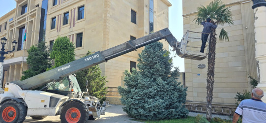 Tərtər şəhəri ərazisində növbəti iməclik aksiyası keçirilib