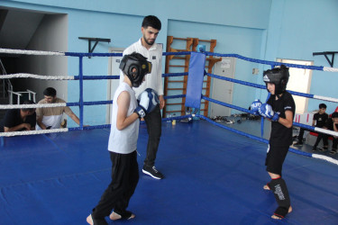 Tərtər rayonunda “Konstitusiya və Suverenlik İli” çərçivəsində savat idman növü üzrə rayon turniri keçirilib.