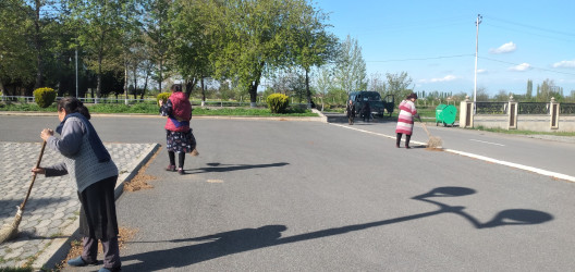 Tərtər şəhəri ərazisində iməclik aksiyası keçirilib