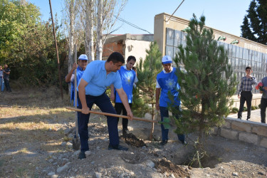 27 sentyabr Anım günü ərəfəsində rayon ərazisində yerləşən şəhidlərin xatirəsinə ucaldılmış abidə və bulaqların ətrafında təmizlik işləri aparılıb