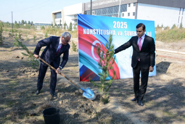 Tərtərdə 8 Noyabr Zəfər Gününün beşinci ildönümü ilə əlaqədar ağacəkmə aksiyası keçirilib