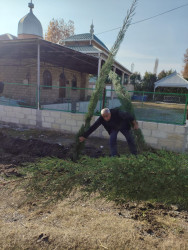 Tərtərdə Ulu Öndər Heydər Əliyevin anım günü ilə əlaqədar ağacəkmə aksiyası keçirilib