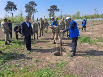 N saylı hərbi hissənin ərazisində Ulu Öndər Heydər Əliyevin 100 illik yubleyi münasibəti ilə  ağacəkmə aksiyası keçirilib