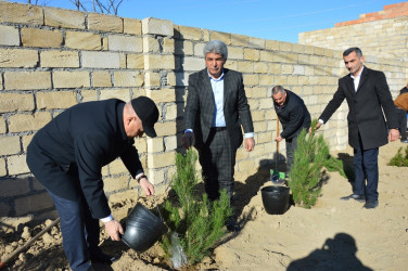 Tərtərdə 31 Dekabr – Dünya Azərbaycanlılarının Həmrəyliyi Günü münasibətilə ağacəkmə aksiyası keçirilib