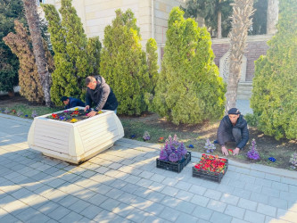 Tərtərdə “Heydər Əliyev İli” çərçivəsində silsilə tədbirlər davam etdirilir