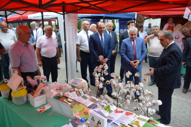 Tərtər rayonunda toxum sərgi-satış yarmarkası və Aqrar Biznes Festivalı keçirilib