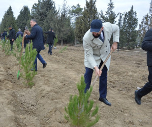 Tərtərdə “Konstitusiya və Suverenlik İli” çərçivəsində Ümummilli Lider Heydər Əliyevin anım günü ilə əlaqədar ağacəkmə aksiyası keçirilib