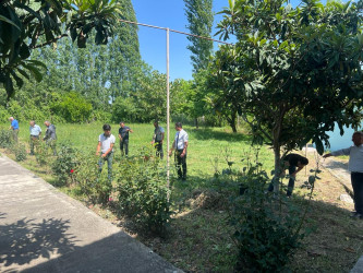 “Yaşıl gələcək naminə” adlı yaşıllaşdırma aksiyası davam etdirilib