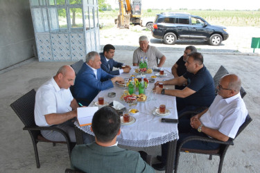 Rayon rəhbəri "FRUİT FOR AZ" MMC-nin intensiv meyvə bağları və müasir suvarma infrastrukturu ilə tanış olub