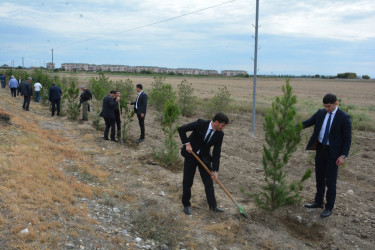 Tərtərdə 27 sentyabr-Anım Günü münasibəti ilə ağacəkmə aksiyası keçirilib