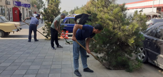 Tərtər şəhəri ərazisində növbəti iməclik aksiyası keçirilib