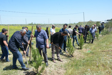 Tərtərdə “Konstitusiya və Suverenlik İli” çərçivəsində Ulu Öndərin anadan olmasının 102-ci ildönümü ilə əlaqədar  ağacəkmə aksiyası keçirilib