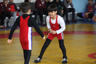 Tərtərdə sərbəst güləş üzrə rayon turniri keçirilib.