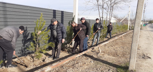 Tərtər rayonu ərazisində növbəti iməclik aksiyası keçirilib