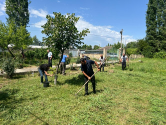 “Yaşıl gələcək naminə” adlı yaşıllaşdırma aksiyası davam etdirilib